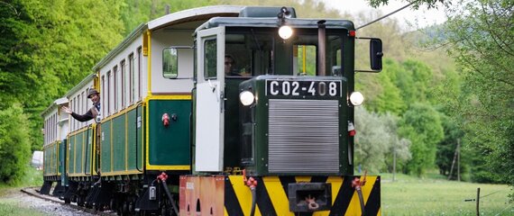 Ehető Erdő Szeleta Szerelvény Gasztroexpressz