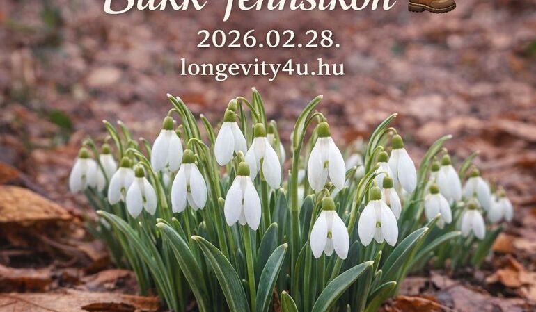 Hóvirágos túra a Bükk-fennsíkon