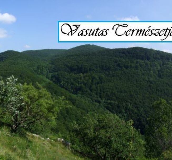 Bükki források teljesítménytúrák (50/30/15 km)