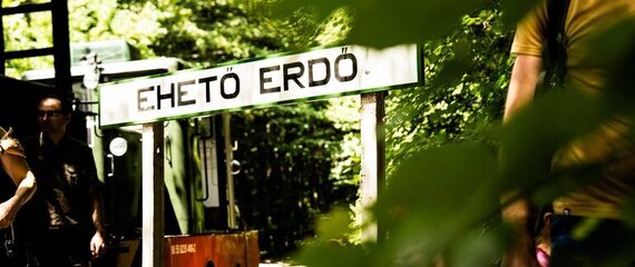 Erdei gasztroexpressz élménytúra