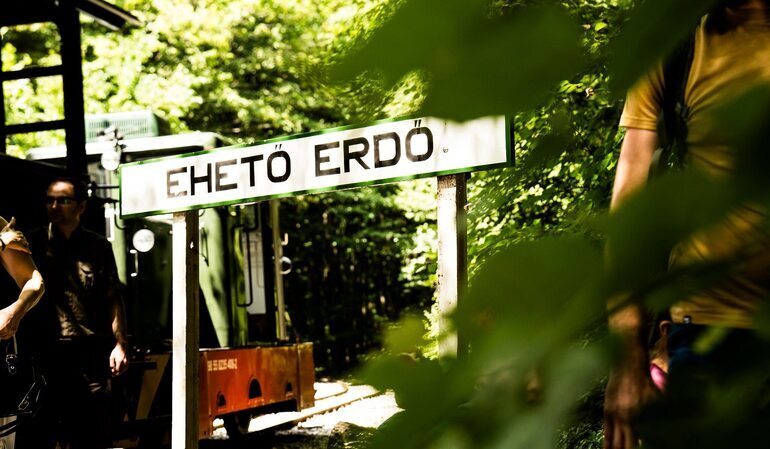 Erdei gasztroexpressz élménytúra