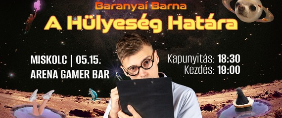 Baranyai Barna estje - A Hülyeség Határa