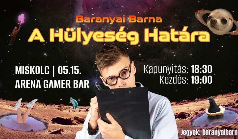 Baranyai Barna estje - A Hülyeség Határa