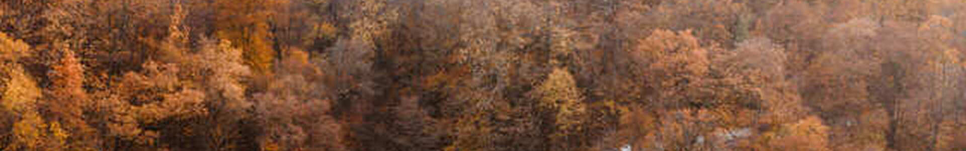 Miskolc nem készül téli álmot aludni