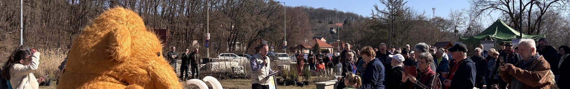 Szokatlan erdőtelepítés Miskolcon, elkészült az első Miyawaki minierdő