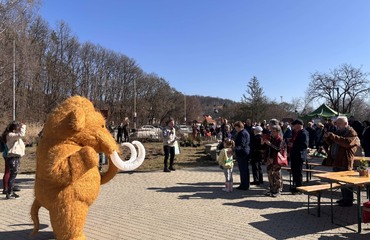 Szokatlan erdőtelepítés Miskolcon, elkészült az első Miyawaki minierdő