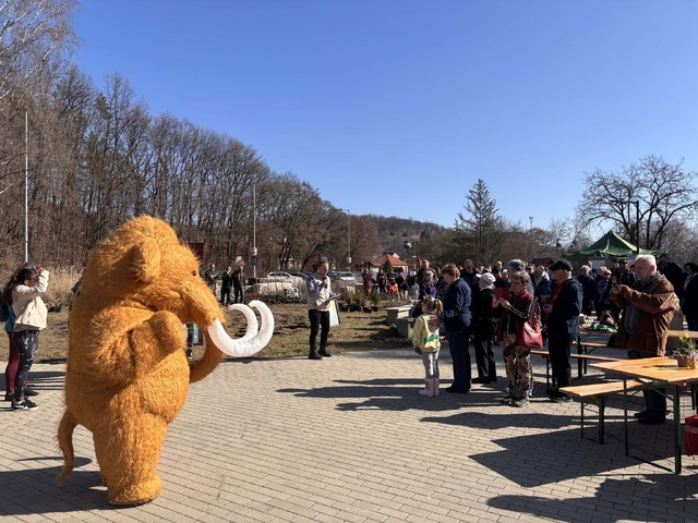 Szokatlan erdőtelepítés Miskolcon, elkészült az első Miyawaki minierdő