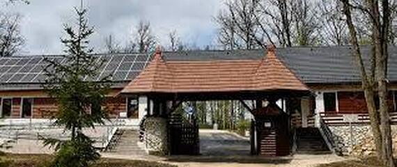 Madarak és fák napja a Miskolci Állatkertben