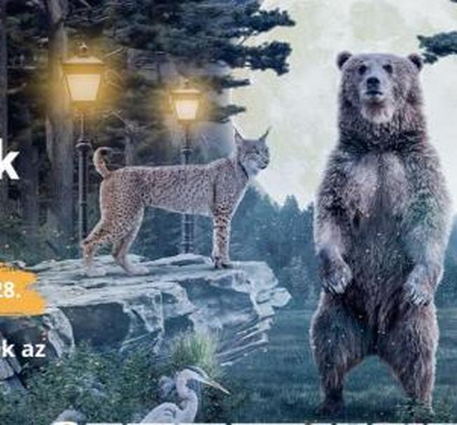 Night of Zoos