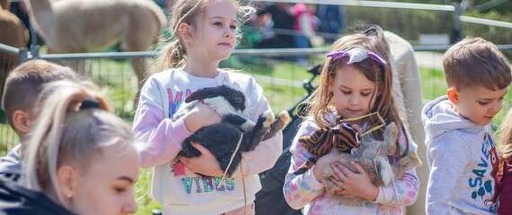 Nyuszisimogató & Húsvéti Élménynap a Baráthegyen