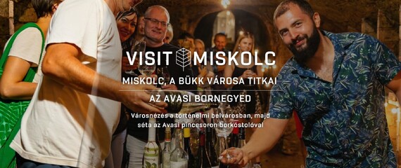 Miskolc, a Bükk városa titkai - Az avasi bornegyed: Városnézés borkóstolással