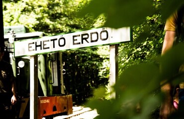 Az Európai Unió legjobbjai közé választottak egy miskolci élményprogramot, amit te is kipróbálhatsz!