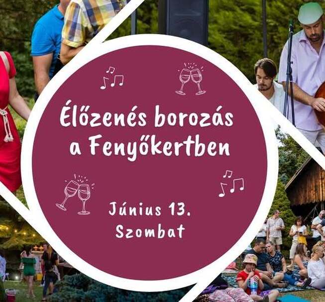 Live Music Wine Dringink at Fenyőkert