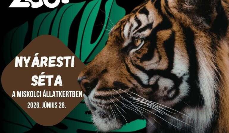 Nyáresti séta a Miskolci Állatkertben Nyáresti séta a Miskolci Állatkertben