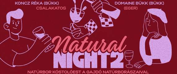 Natural Night vol. 2. - a Gajdó natúrborászaival