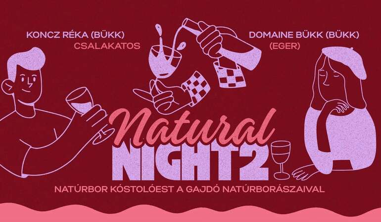 Natural Night vol. 2. - a Gajdó natúrborászaival
